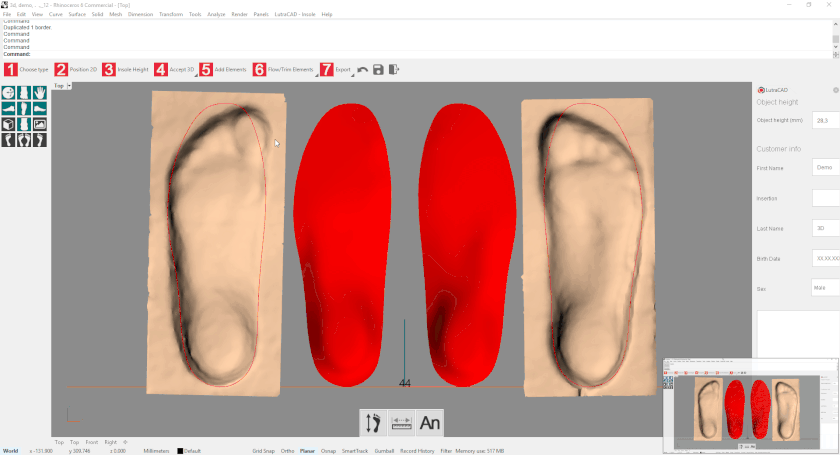 Create a preview and accept the insole