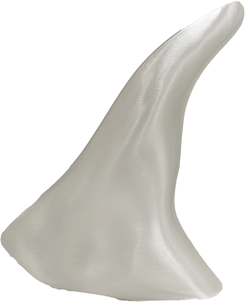 foil_test_shoe